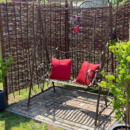 Ferienhaus Bellavita - Mit Grossem Eingezaeuntem Garten - Infrarotsauna - 3 Hunde Willkommen - Badesee 800M Entfernt Walkenried Dış mekan fotoğraf